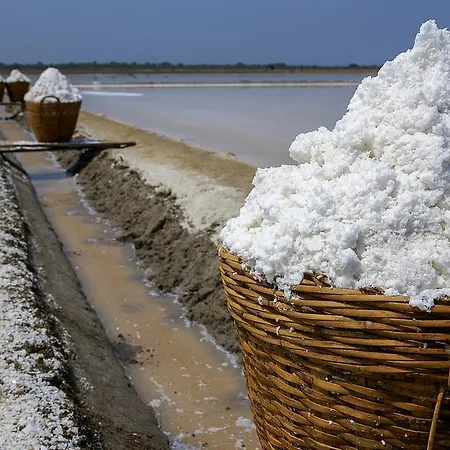 Casa rural Rural Es Turó Ses Salines